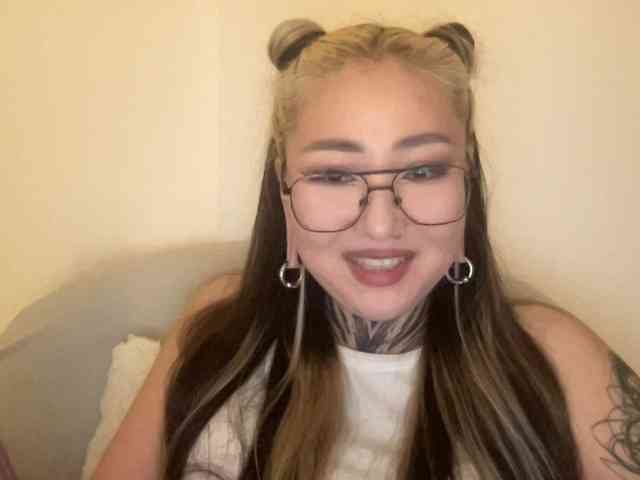 risha-1 webcam