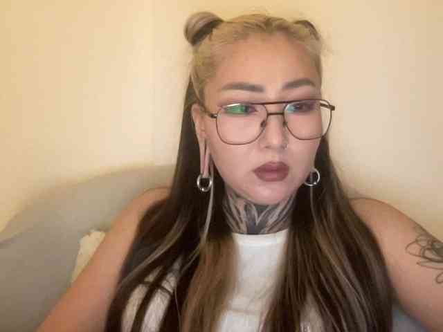 risha-1 webcam