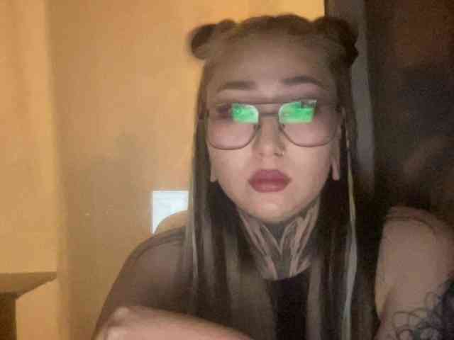 risha-1 webcam
