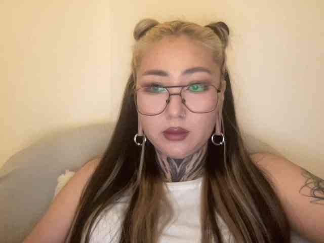 risha-1 webcam