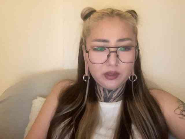 risha-1 webcam