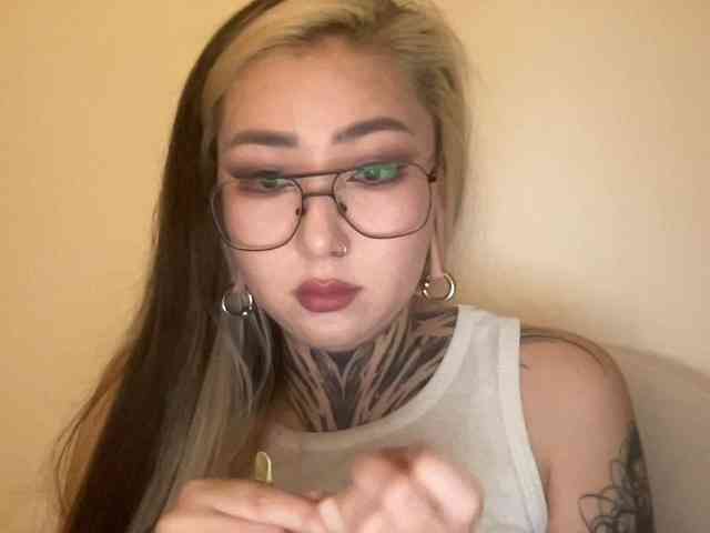 risha-1 webcam