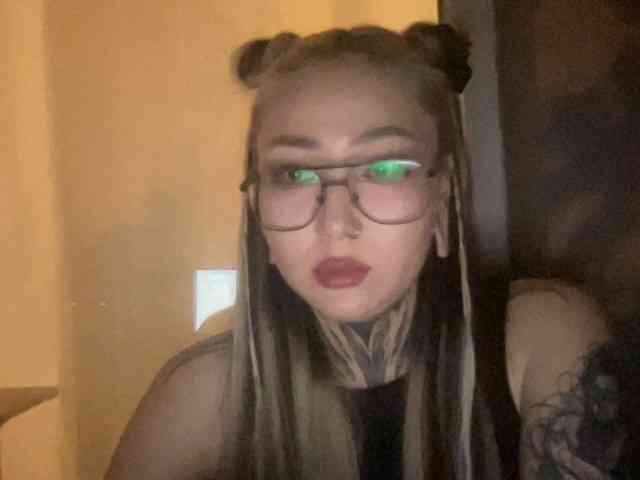 risha-1 webcam
