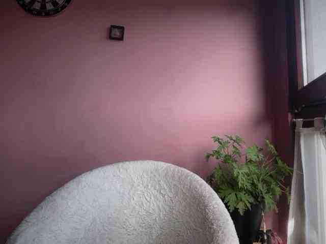 BettyLovely webcam