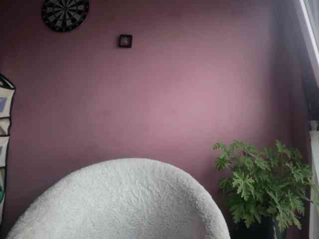 BettyLovely webcam