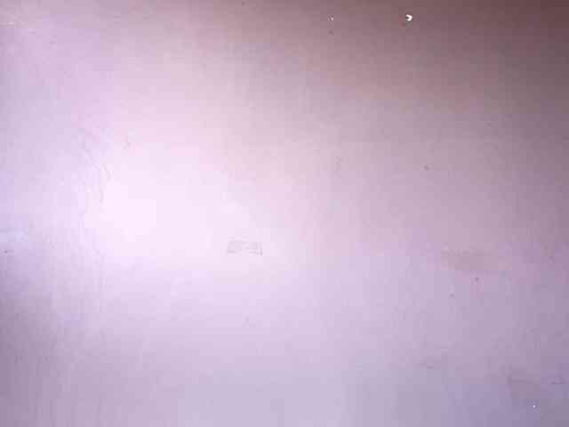 BettyLovely webcam