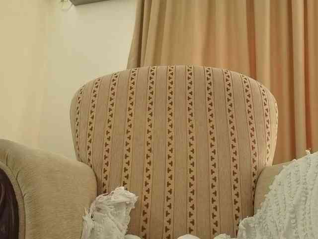DiorMuse webcam