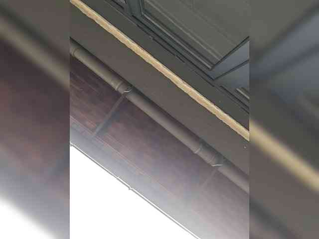 DiorMuse webcam
