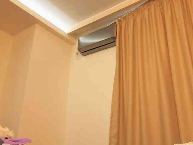 DiorMuse webcam