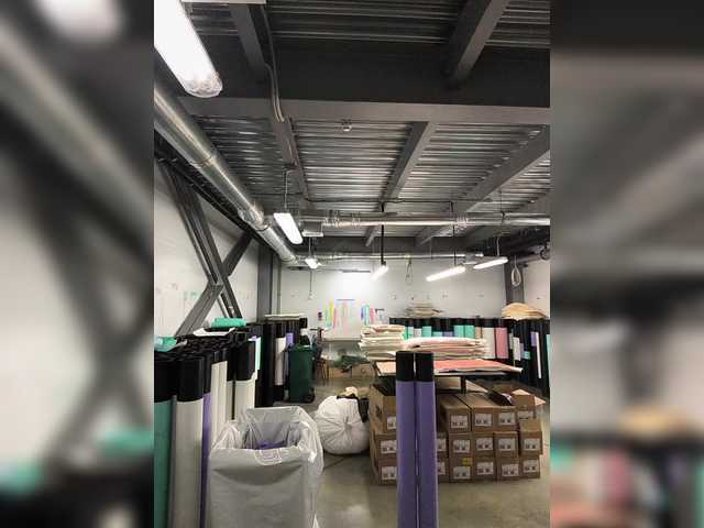 Borz19a live cam