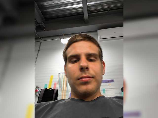 Borz19a live cam