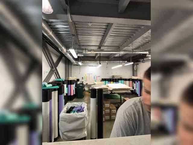 Borz19a