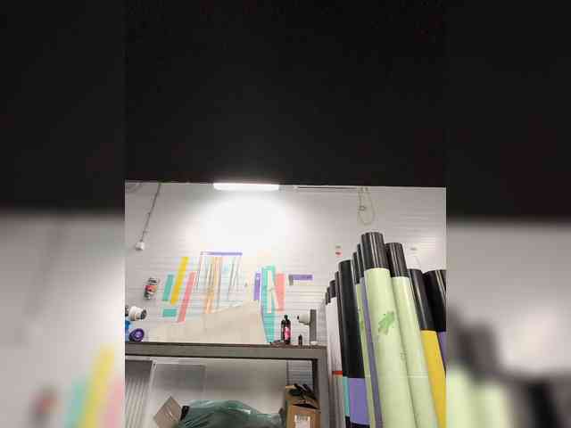 Borz19a