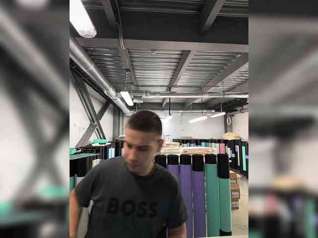 Borz19a