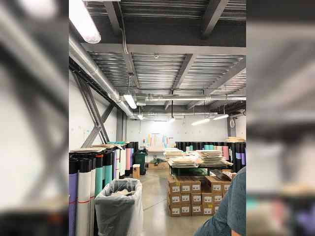 Borz19a