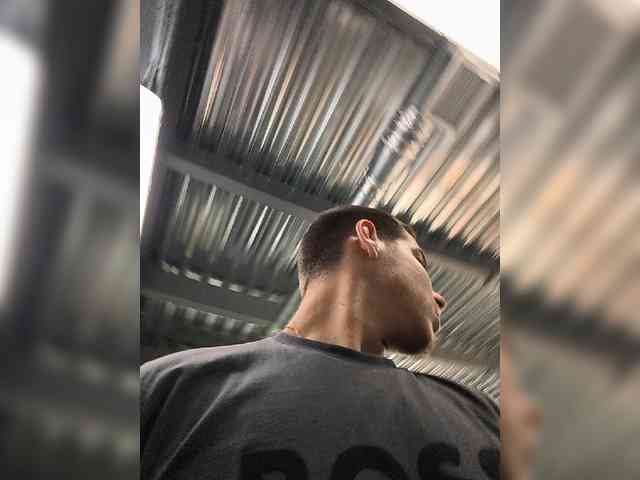 Borz19a