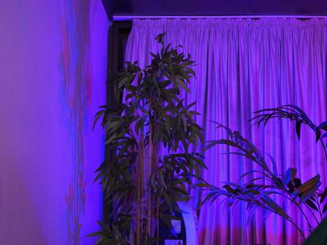 AzraReign live cam on BongaCams