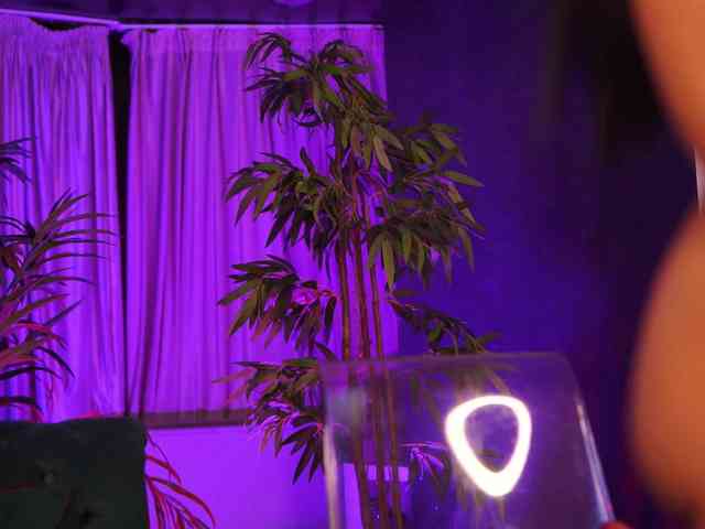 AzraReign