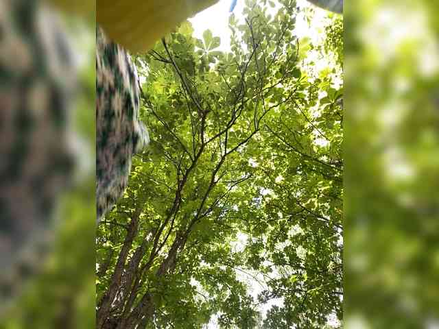 -VASILISA-21- webcam