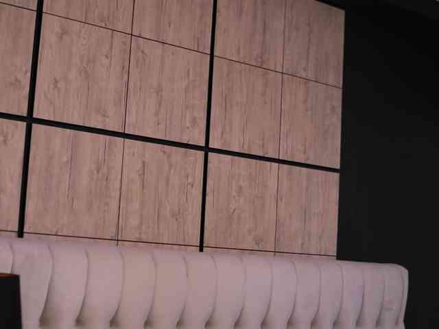 SonyaStorm webcam