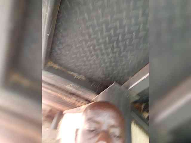 Cocoboy1 Cocoboy1