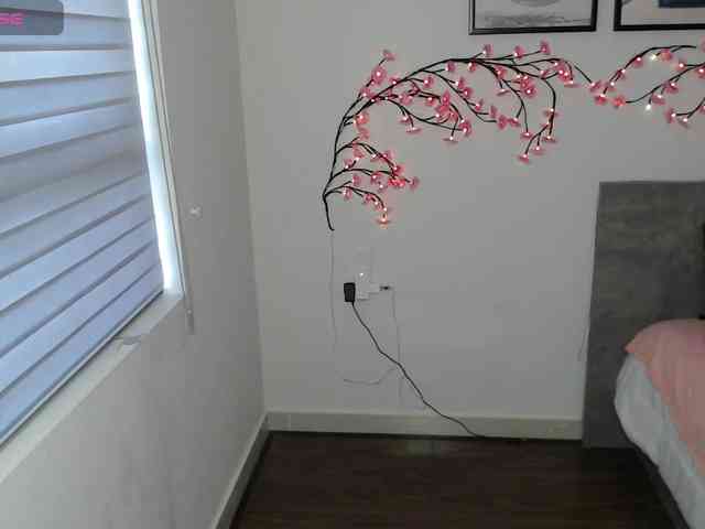 Coraline-bush webcam