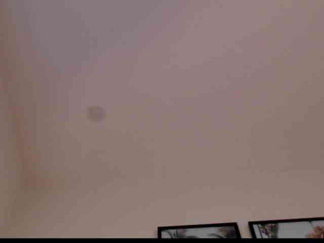 Coraline-bush webcam