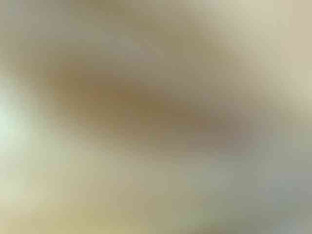 AmaraS webcam