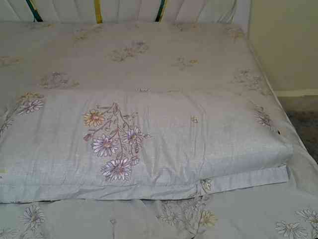 Petiteblossom webcam