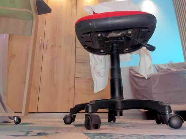Trinitixx webcam