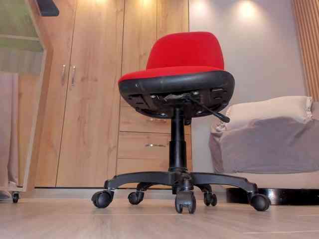 Trinitixx webcam