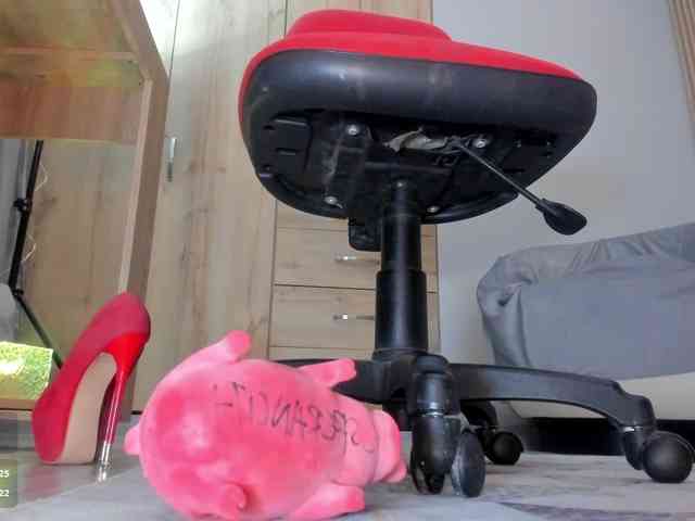 Trinitixx webcam