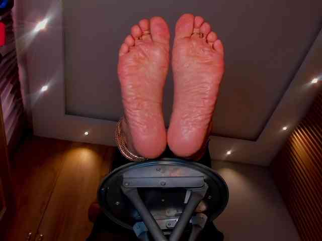 Trinitixx webcam