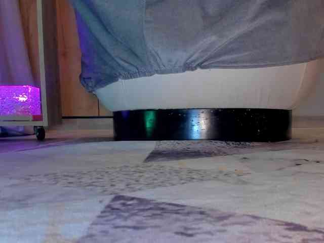 Trinitixx webcam