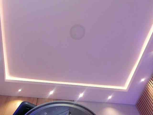 Trinitixx webcam