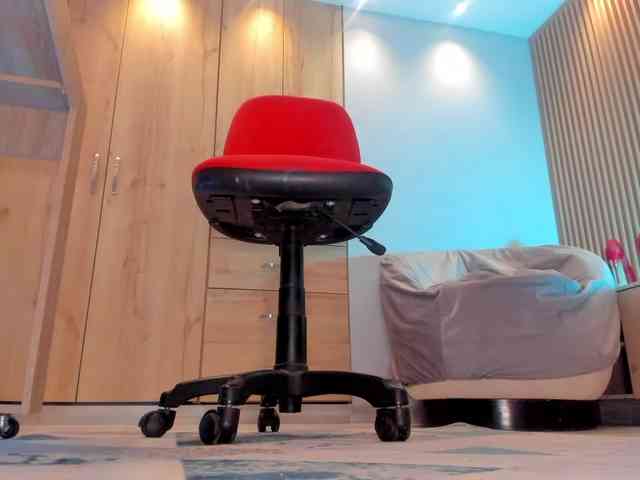Trinitixx webcam