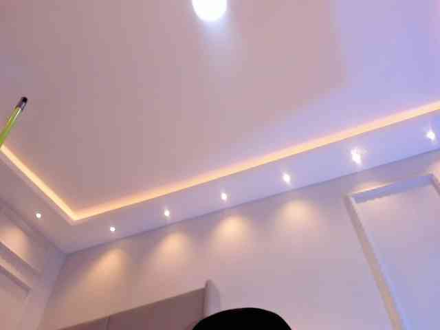 pandorafoster webcam