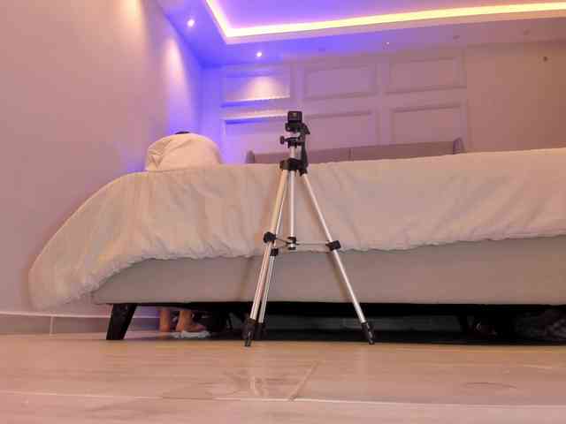 pandorafoster webcam