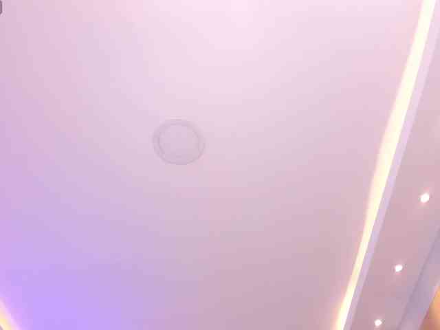 pandorafoster webcam