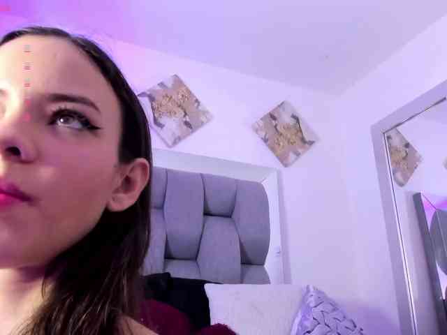 Sophiavegga webcam
