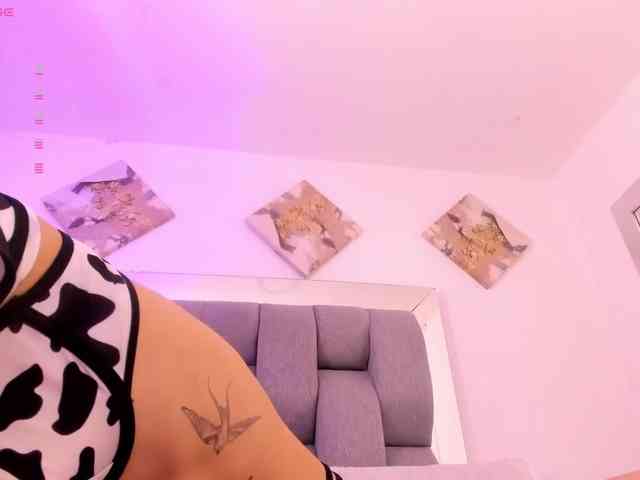 Sophiavegga webcam