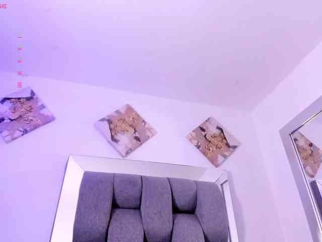 Sophiavegga webcam