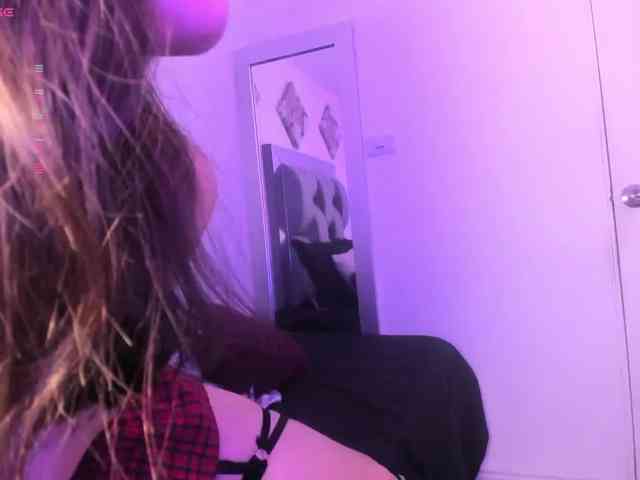 Sophiavegga webcam