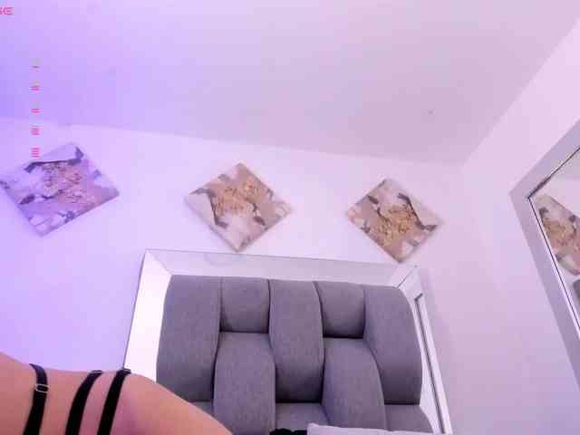 Sophiavegga webcam