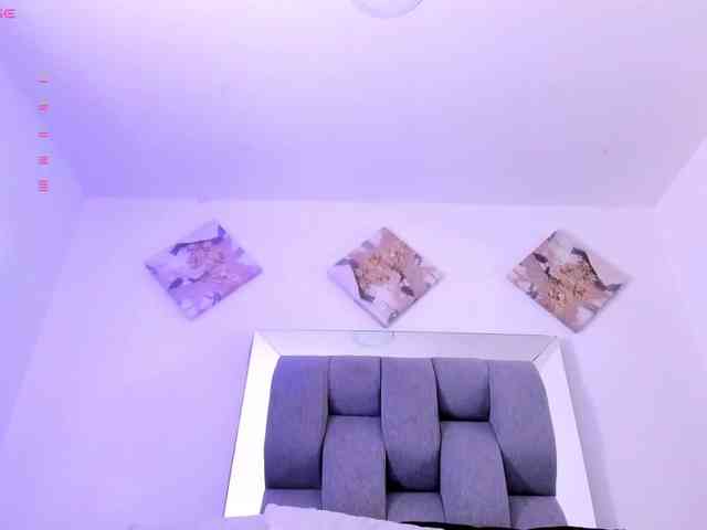 Sophiavegga webcam