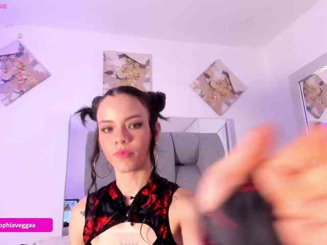 Sophiavegga webcam