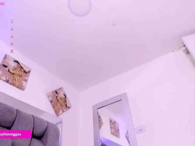 Sophiavegga webcam