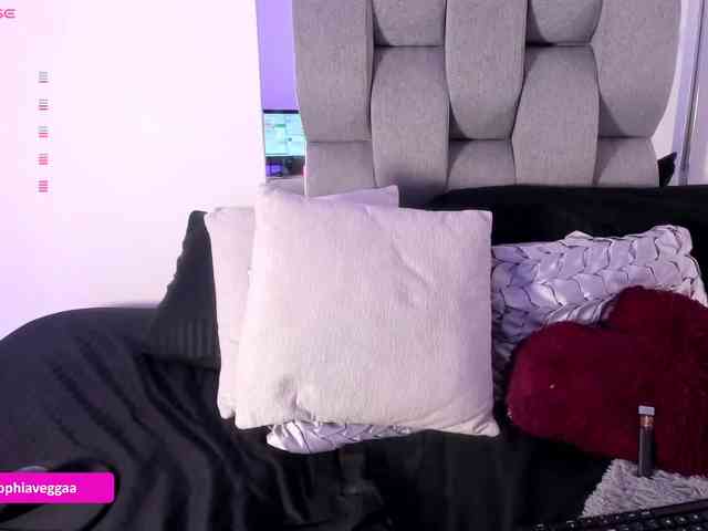 Sophiavegga webcam