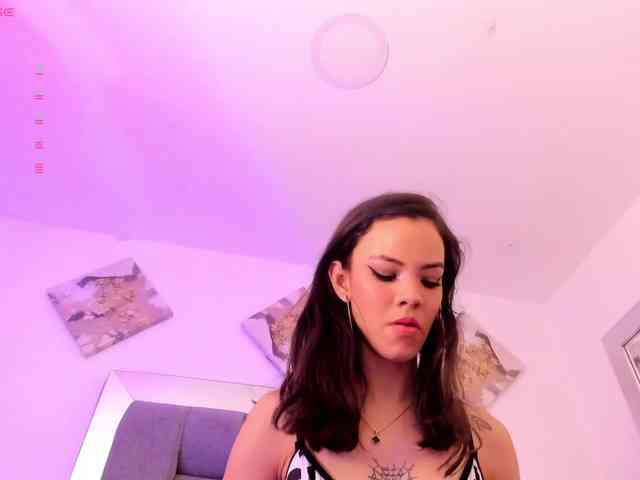 Sophiavegga
