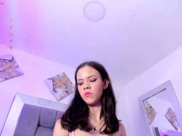 Sophiavegga